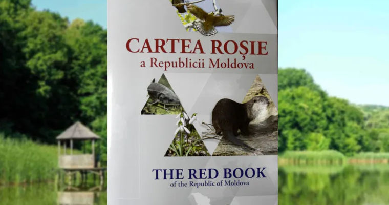 Республика Молдова готовит новое издание Красной книги.