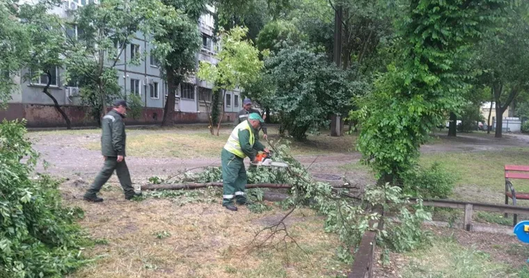 Ploile au făcut ravagii în Chișinău: Copaci doborâți și porțiuni de drum inundate