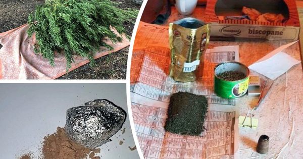 В Молдове проходит масштабная антинаркотическая операция.