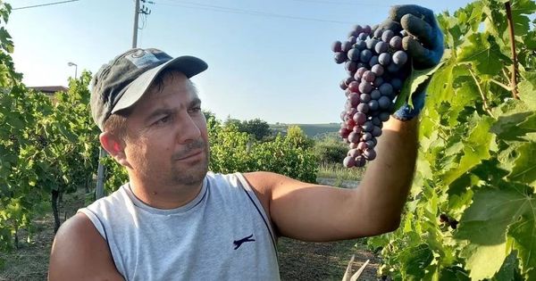 Примар, уехавший в свой отпуск на заработки в Италию, вернулся на работу.
