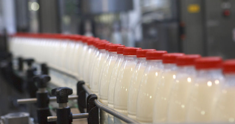 Producția de lapte în Moldova s-a redus la jumătate în ultimii zece ani.
