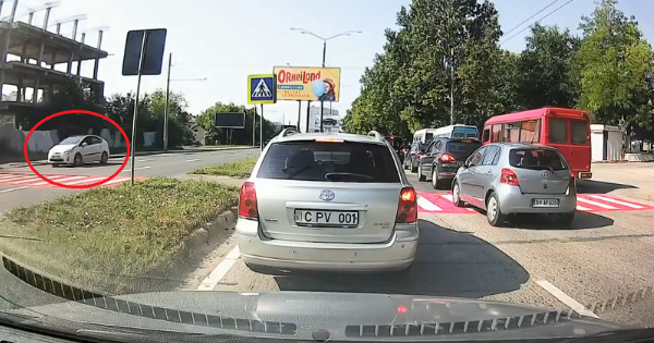 В столице водитель проехал задним ходом по встречной полосе.