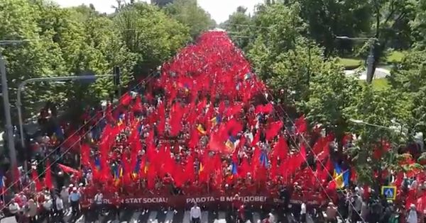 Первомайский сад воронеж фото