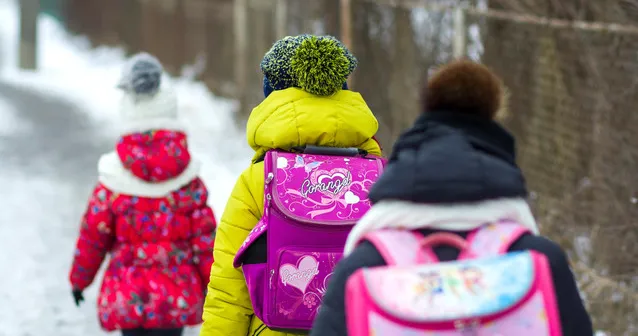 MEC: Formatul lecțiilor mâine va fi decis după situația din localități