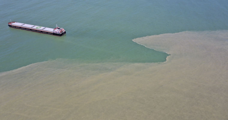Воды Черного моря в Турции окрасились в коричневый цвет после ливня.