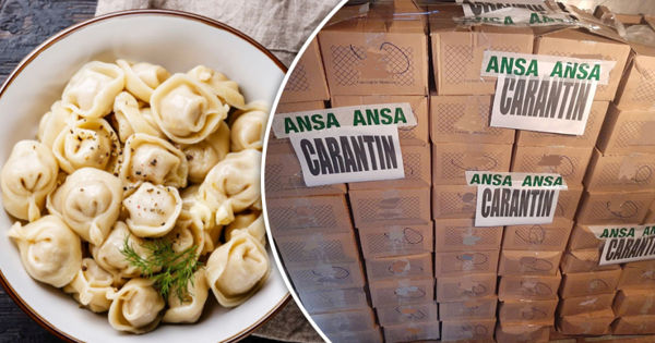 ANSA изъяла партию пельменей из-за сальмонеллы. Коллаж: Point.md