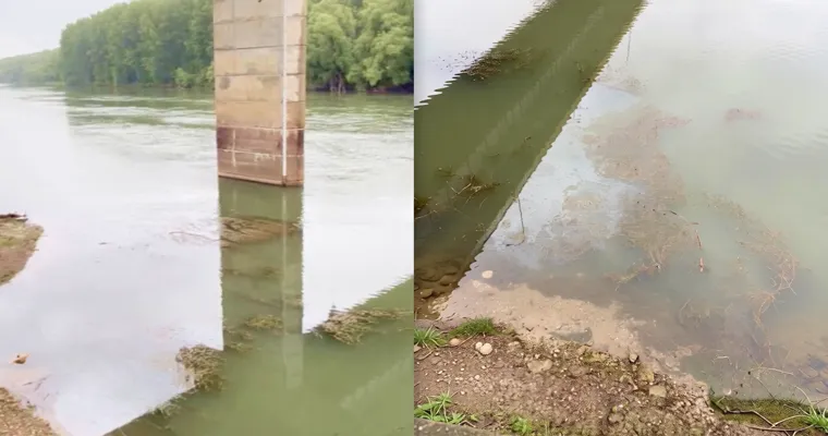 Pete suspecte observate pe Nistru. Inspectorii spun că nu au găsit urme de poluare