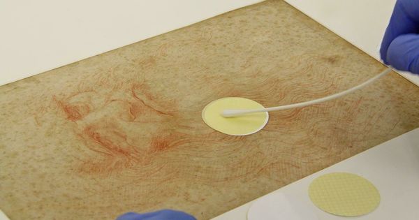 Ученые провели исследование ДНК бактерий, найденных на рисунках Леонардо да Винчи.