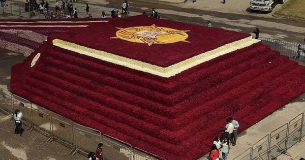 Площадь постройки составила более тысячи квадратных метров.