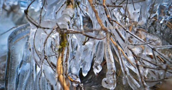 Începutul lui martie vine cu -23 de grade. Vremea în următoarele 7 zile. Foto: Ziarul Puterea
