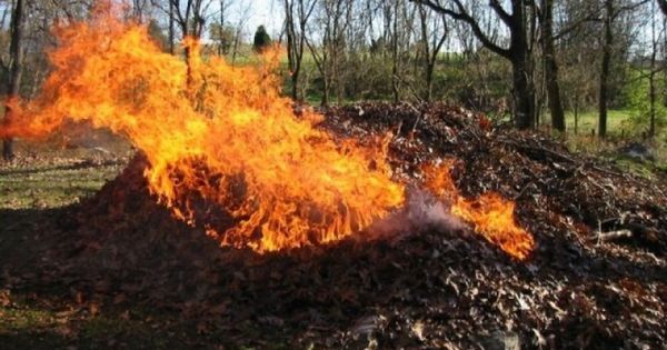 Эксперты утверждают, что сжигание листьев может привести не только к пожарам, но и к появлению рака, если часто дышать дымом.