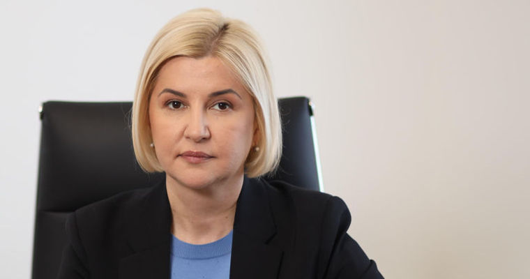 Влах - Йоханнису: Нужны гарантии, что румынская армия не перейдет Прут.