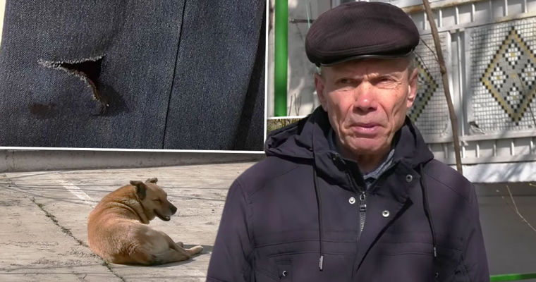 В центре Каушан свора собак напала на пенсионера. Коллаж: Point.md