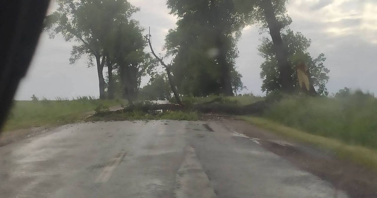 Полиция Молдовы предупредила водителей об ухудшении погодных условий.