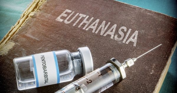 Во Франции завели дело после эвтаназии парализованного мужчины.