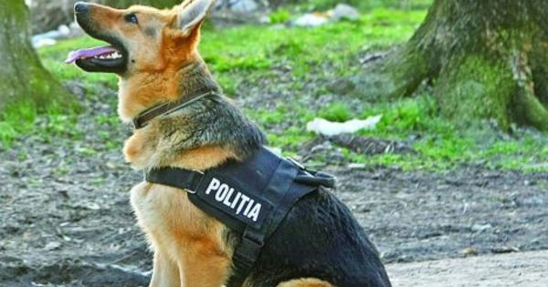 Первое место в этом году досталось пограничникам. Соревнования проводятся уже третий год.
