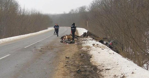 Un bărbat a decedat în urma ciocnirii unui Mercedes cu o căruță.