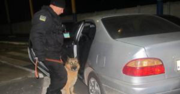 К осмотру привлекли натренированную на поиск наркотиков собаку. Фото: dpsu.gov.ua
