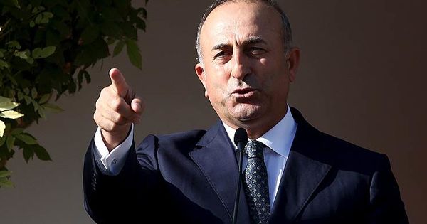 Чавушоглу обвинил Гюлена в организации убийства посла Карлова.