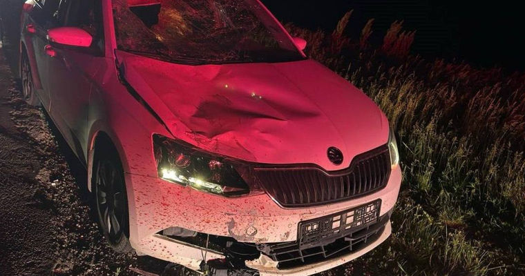 В Дрокиевском район велосипедиста насмерть сбил автомобиль.