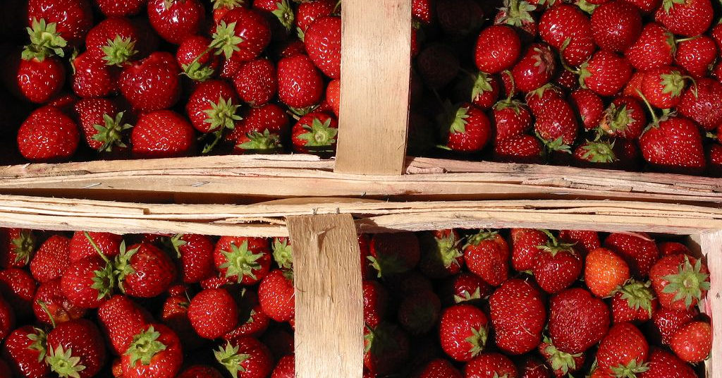 В Польше назревает конфликт из-за украинской плодово-ягодной продукции.