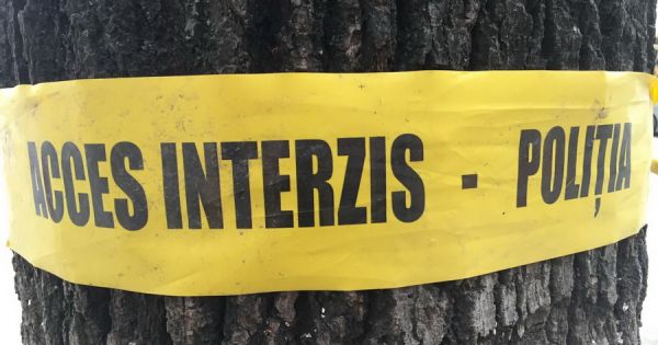 В лесополосе вблизи Комрата найдено тело повесившегося мужчины.