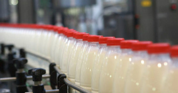 Rusia impune embargou la laptele din Belarus. Lukaşenko, indignat