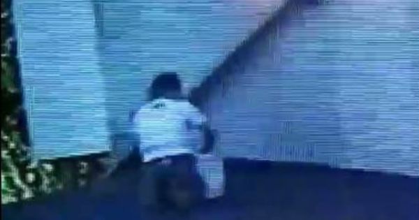 Жители дома на Телецентре учат своих детей убивать бездомных животных.