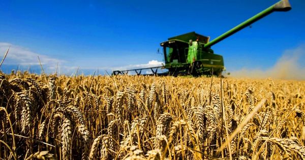 Сельхозпроизводство в Молдове выросло на 20,5%.