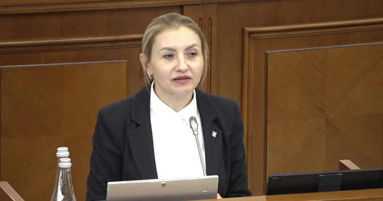 Глава Центра защиты данных пожаловалась в парламенте на зарплаты.
