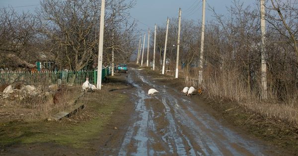 Сокращение финансирования ремонта дорог негативно сказалось на селах.