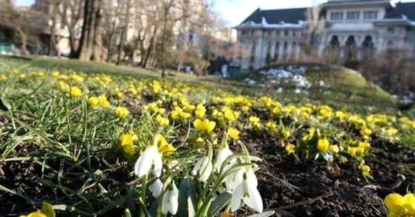 Astăzi, în toată țara, cerul va fi variabil.
