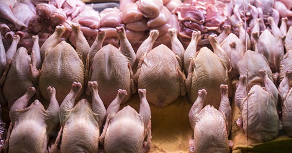 Производители мяса просят поддержки властей: Мы на грани банкротства.