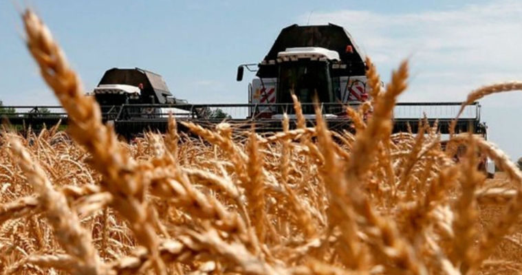 ONU: Agricultura este amenințată din cauza căldurii anormale.