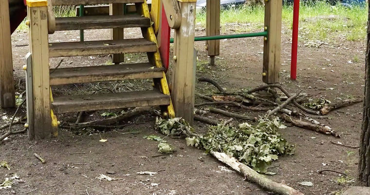 Жители одного из районов Бельц жалуются на состояние детских площадок и опасные деревья.