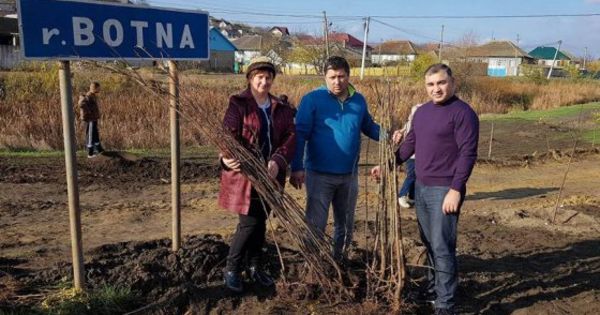 Проект был инициирован прошлом году, и сейчас находится на втором этапе внедрения.