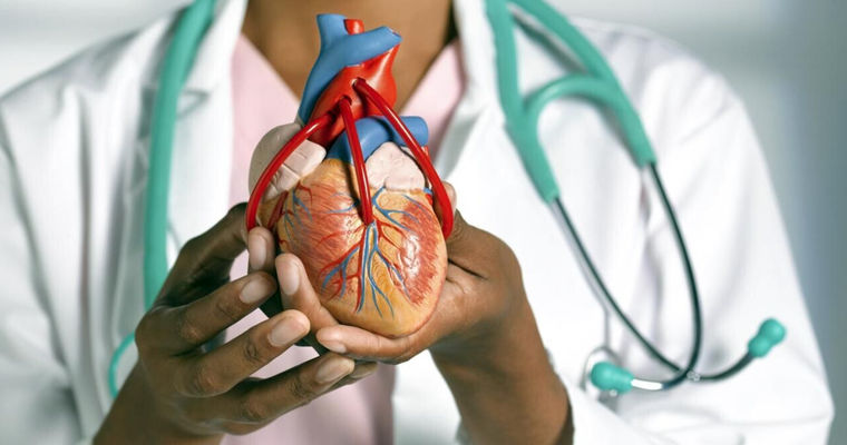 Studiu: COVID-19 afectează direct țesutul cardiac.