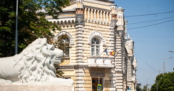 Экологическая партия зеленых призывает назначить врио примара Кишинева.