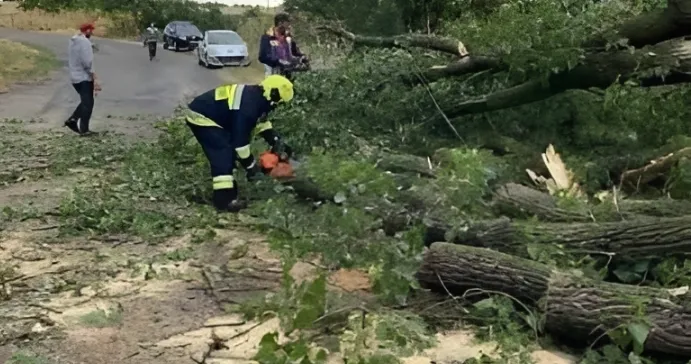 Acoperișuri avariate și arbori doborâți de vânt: IGSU a intervenit în mai multe zone