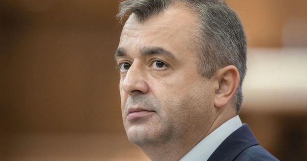 Кику о свадьбе сына: "Я чувствую моральную вину, но не собираюсь оправдываться".