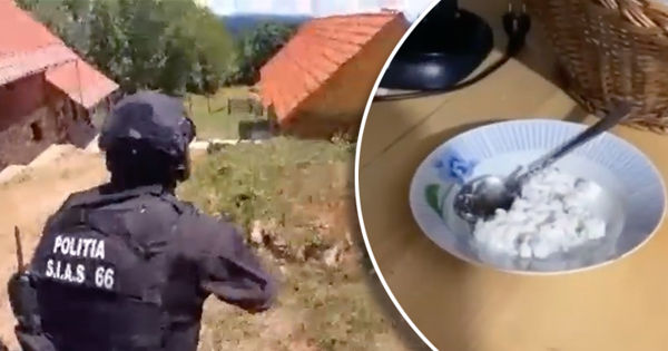 В Румынии впервые обнаружили лабораторию по изготовлению кокаина. Коллаж Point.md.