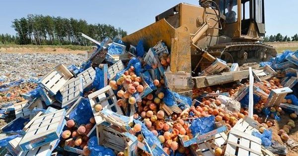За три года в России уничтожили 26 тысяч тонн санкционных продуктов.
