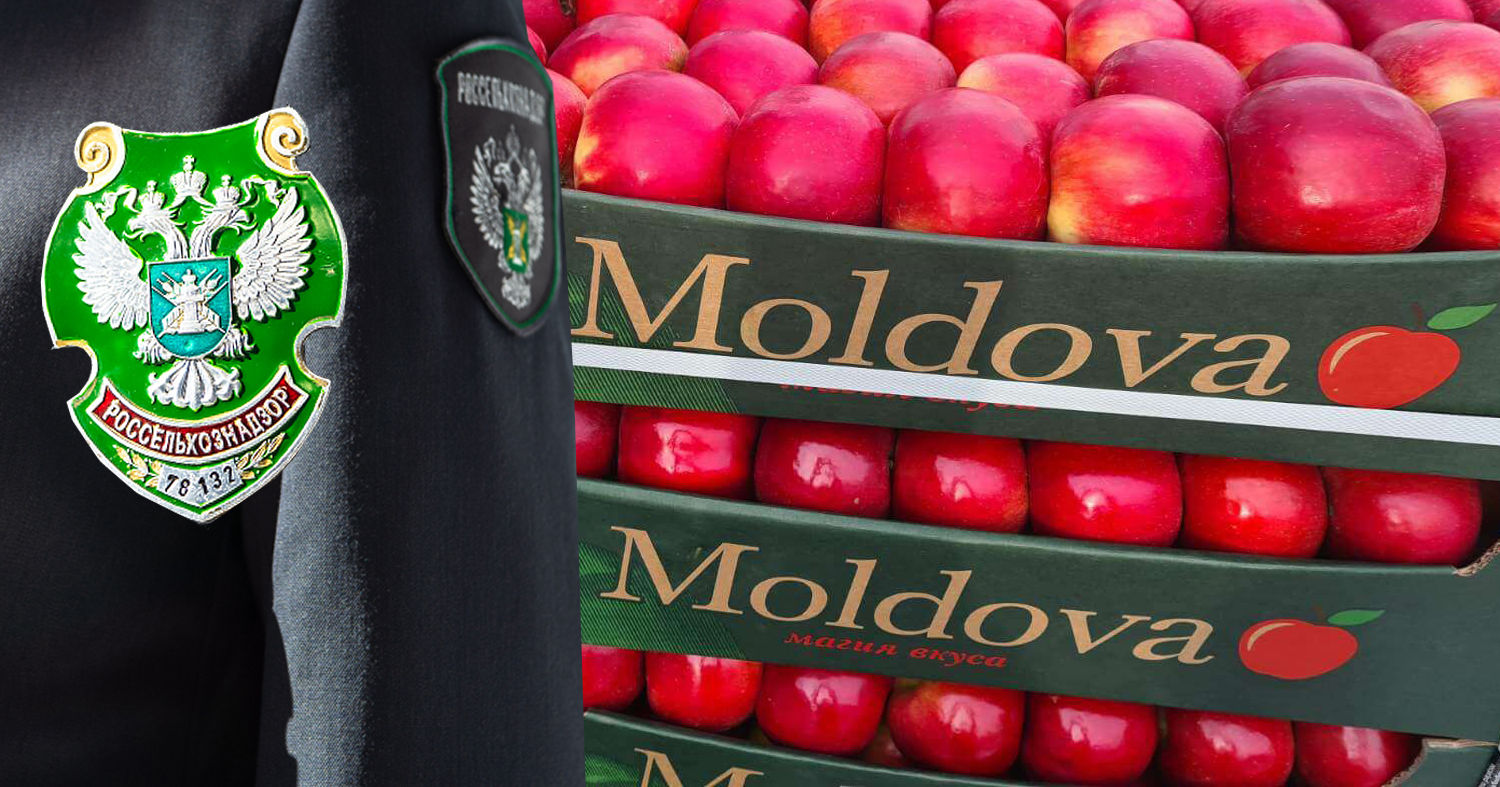 &#34;Россельхознадзор&#34; вновь вводит эмбарго на молдавские фрукты. Коллаж: Point.md