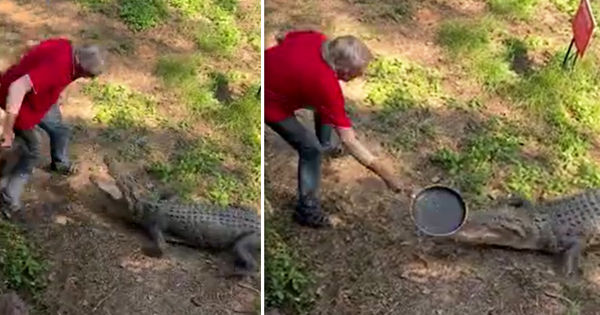 Уроки и мораль