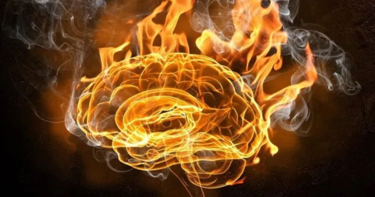 Ученые: Глобальное потепление заставляет наш мозг вскипать.
