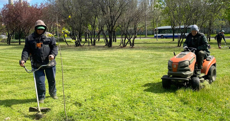 În parcurile din Capitală începe tratarea chimică împotriva căpușelor.