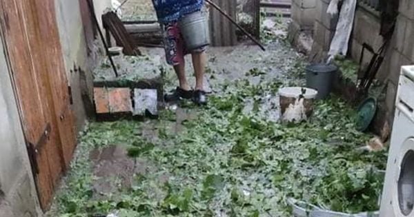 В Каушанском районе хозяйства терпят убытки из-за ливня с градом.