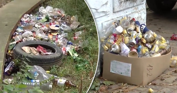 Зеленая зона на Буюканах превратилась в мусорную свалку