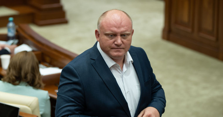 Инициатива об учреждении Дня пчелы вызвала шутки и иронию в парламенте.