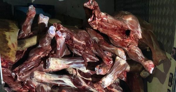 Tone de carne şi peşte fără acte de provenienţă urmau să fie vândute la tarabele din Piaţa Centrală.